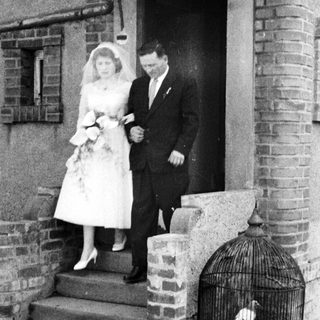 Bride and groom exit building, bird in ornate cage.