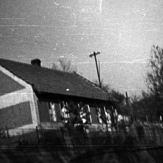 Grayscale image depicting a residential area with trees and sky.