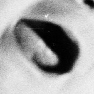 Crying baby in a blanket, black and white photo.