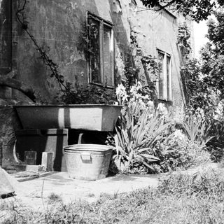 Old building exterior with tubs, foliage, and overgrown vegetation.