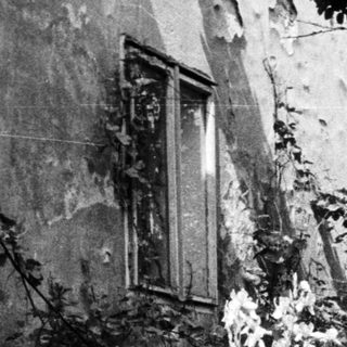 Old building exterior with tubs, foliage, and overgrown vegetation.