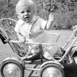 Baby sits in a vintage stroller outdoors.