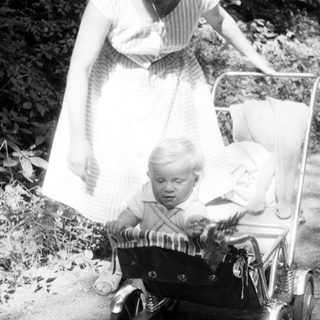 Baby in a vintage carriage on a woodland path.