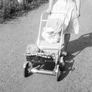 Here's a brief summary of the image: Young woman walks along a road, pushing a baby carriage.