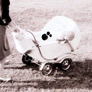 Woman walks with a vintage baby carriage in a field.