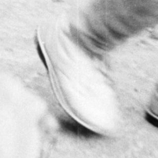 Here's a brief summary of the image: Toddler walks outdoors, carrying a cup.