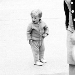 Woman and child walk along a tree-lined path.