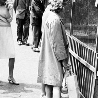 Group of people near a fenced enclosure, likely a zoo.