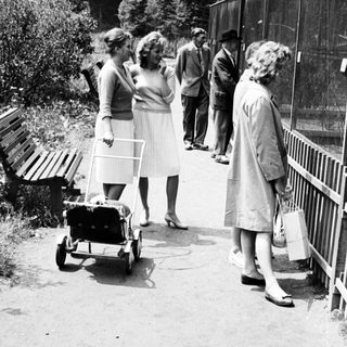 Group of people near a fenced enclosure, likely a zoo.