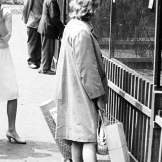 People observing animals in an enclosure, likely a zoo.