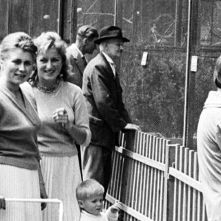 People viewing animals through a fence enclosure.