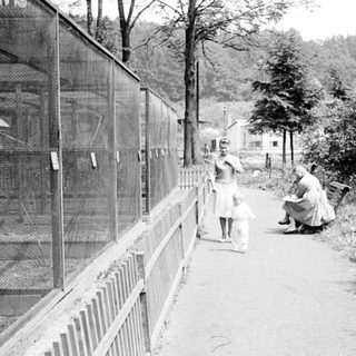 Family near a fenced enclosure, possibly a zoo.