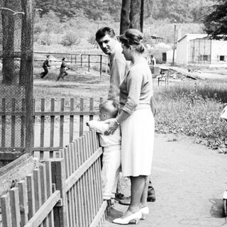 Couple with child viewing animals through a fence.