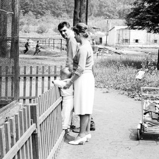 Couple with child viewing animals through a fence.
