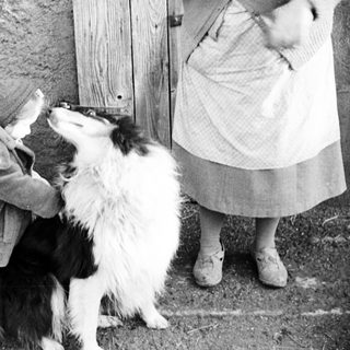 Child hugging a dog near a weathered wooden door.