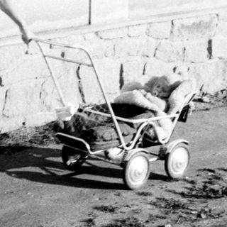 Woman walks along a path, pushing a small cart.