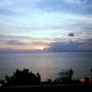 Sunset over a body of water with vegetation in foreground.