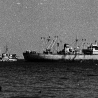 Children playing on a beach with ships in the distance.