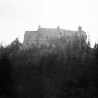 Castle perched on hill, obscured by trees and mist.