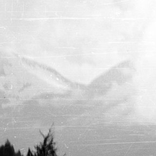 Misty, monochrome landscape with trees and obscured mountain peaks.