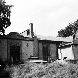 Overgrown vegetation surrounds a weathered, older brick building.
