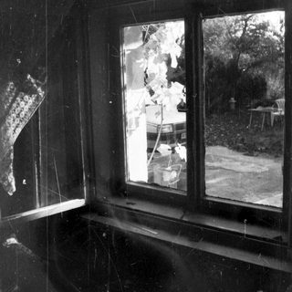Black and white photo of a window and garden view.