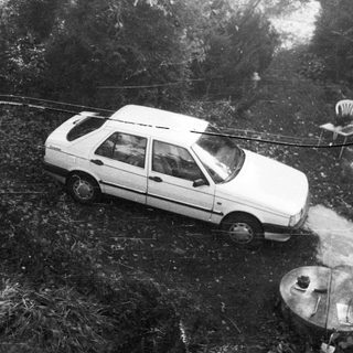Car sits off-road, surrounded by trees and foliage.