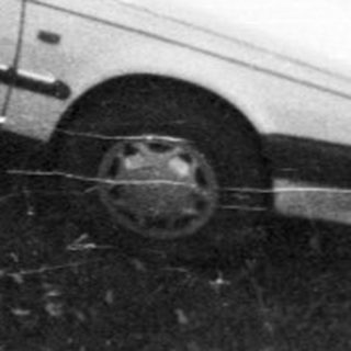 Car sits off-road, surrounded by trees and foliage.