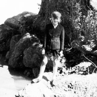 Child sits near a tree on a rocky lakeshore.