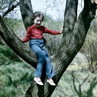 Girl playfully sits on a tree branch outdoors.