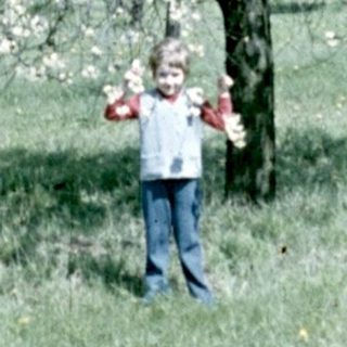 Blossoming tree stands in a grassy field with a person.