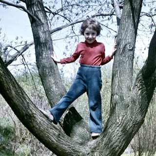Boy balances on a tree branch outdoors.