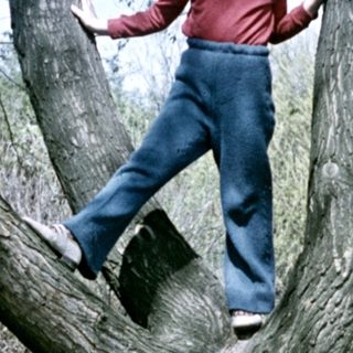 Boy balances on a tree branch outdoors.
