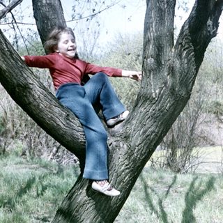 Child climbs a tree in a grassy, outdoor setting.