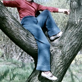 Child climbs a tree in a grassy, outdoor setting.