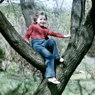 Child playfully climbing a tree in a grassy area.
