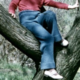 Child playfully climbing a tree in a grassy area.