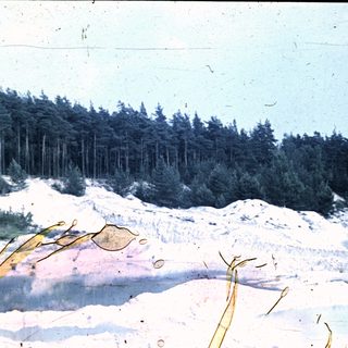 Forest meets rocky terrain reflected in a still body of water.