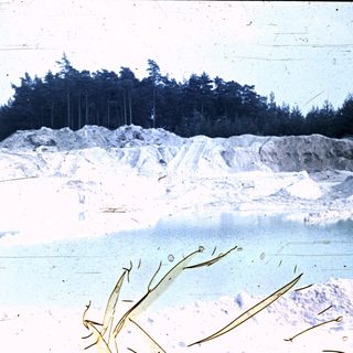 Quarried landscape with exposed rock face and pine trees.