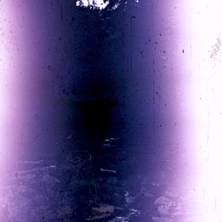 Here's a brief summary of the image: Dark, weathered photograph showing a path through a forest.