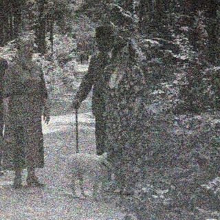 Three figures walk along a path through a forest.