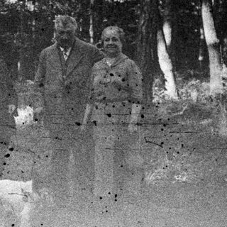 Group of people and a dog stand in a forest.