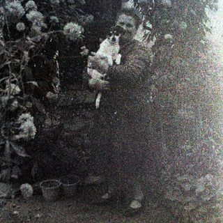 Here's a brief summary of the image: Dog standing near plants and containers in a garden.