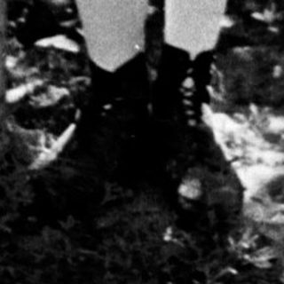 Here's a brief summary of the image: Girl in vintage dress stands near a tree.