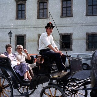 Woman and driver in a horse-drawn carriage.