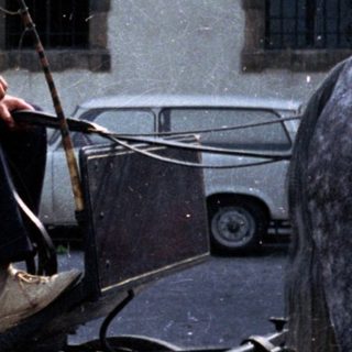 Woman and driver in a horse-drawn carriage.