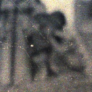 Blurred image showing figures and trees in a hazy landscape.