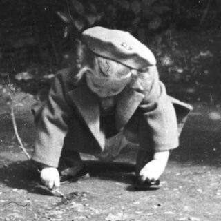 Child crawls on a path with trees in background.