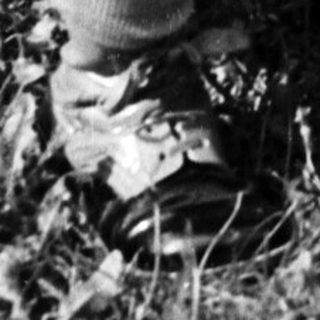 Here's a brief summary of the image: Child crouches in grass, appearing to examine something.