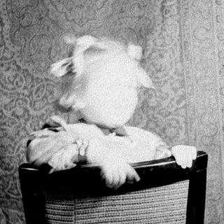Here's a brief summary of the image: Dog sits on a chair against a patterned wall.